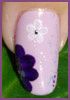 fleurs-violettes---vi.JPG