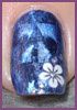 foil periwinkle-vi