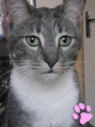 chatmini Zoe