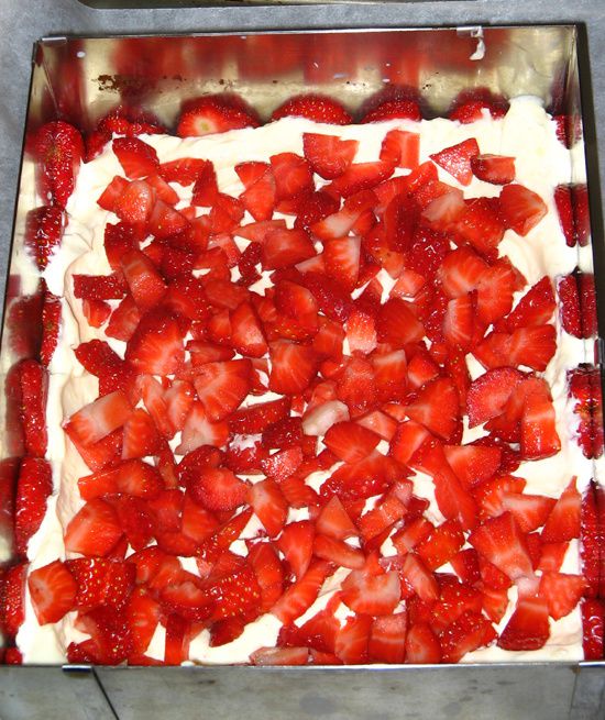 fraisier02