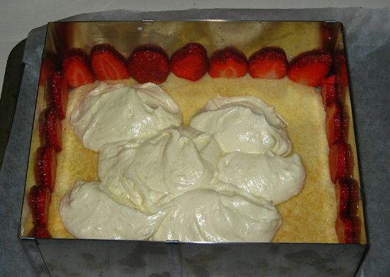 fraisier03