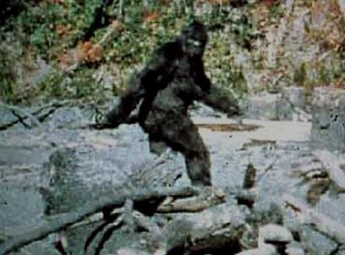 sasquatch-BIGFOOT.jpg