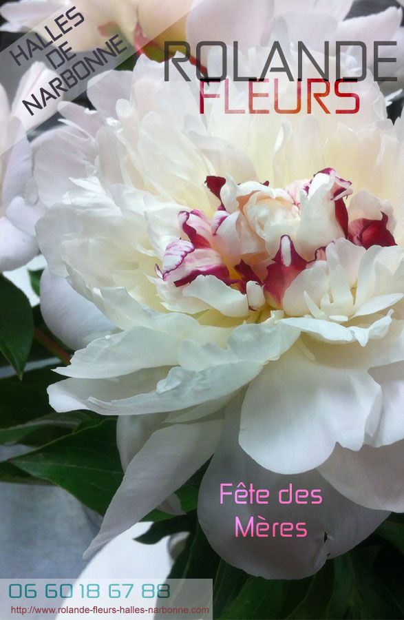 Vos bouquets de fleurs chez votre fleuriste à Narbonne pour la fête des mères et des mamans le 26 mai 2013, halles de Narbonne