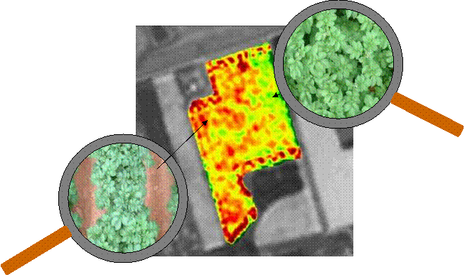 explication-agriculture-precision.gif