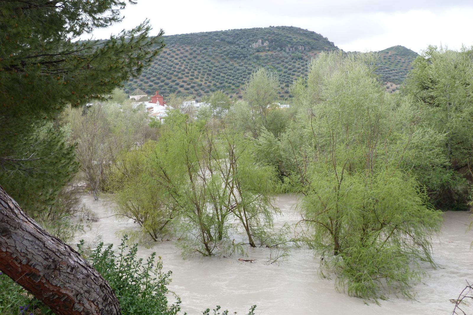 Inundaciones Jauja 24-03-2013