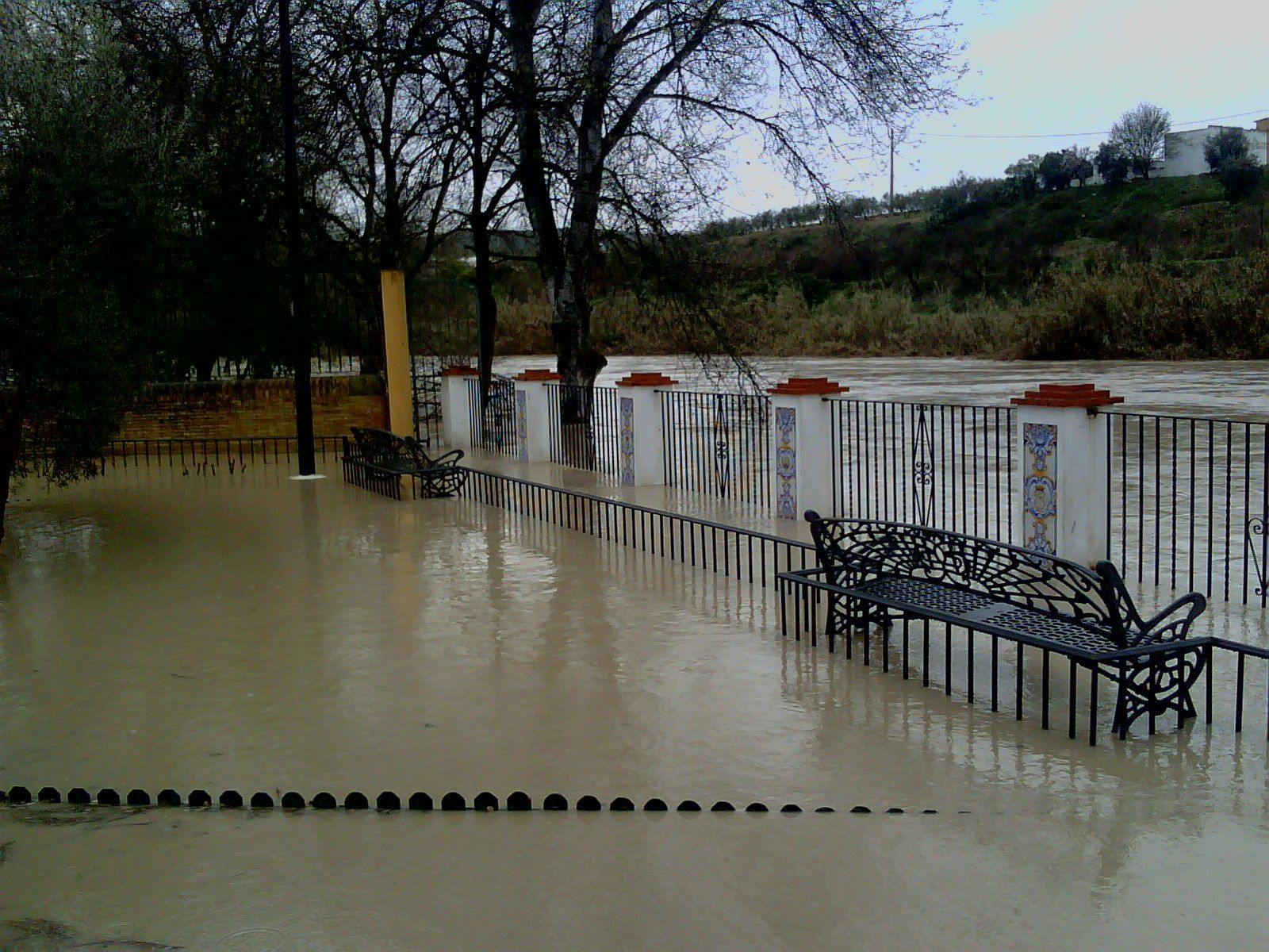 Inundaciones Río Genil 06-03-2010 Badolatosa 