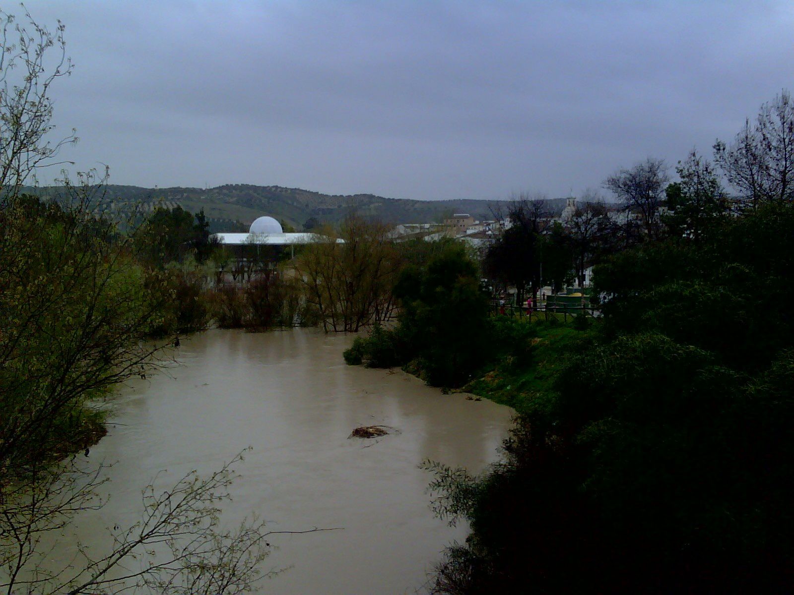 Inundaciones Río Genil 06-03-2010 Badolatosa 