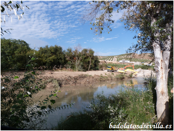 obras río Genil Badolatosa 02-10-2013