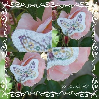 Papillon 4