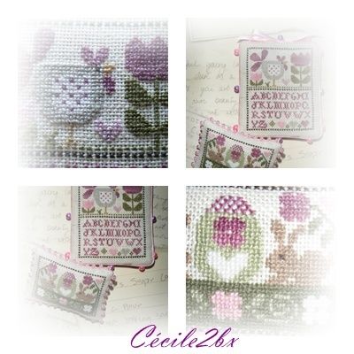 cecile2bx 3
