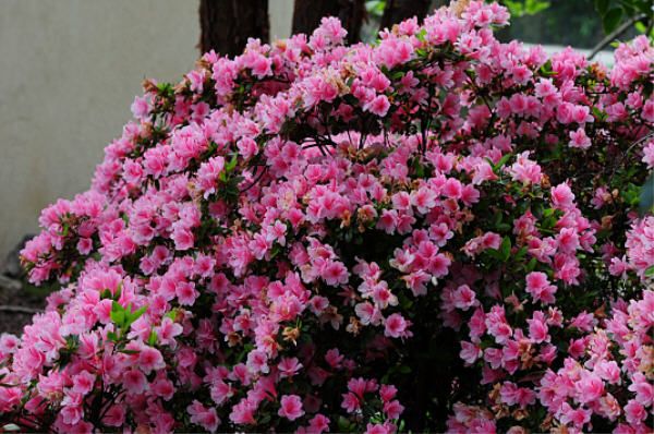 PHOTOS-2013-5641.JPG
