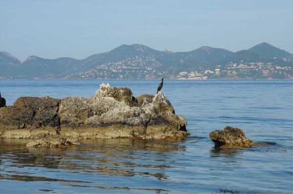 JUIN-2014-1276.JPG