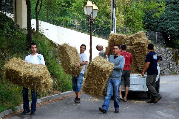Aout2011-0103.JPG
