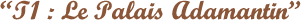 Les-Rois-dragons--T1---Le-Palais-Adamantin-de-Stephen-Deas.png