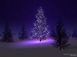 sapin Noël