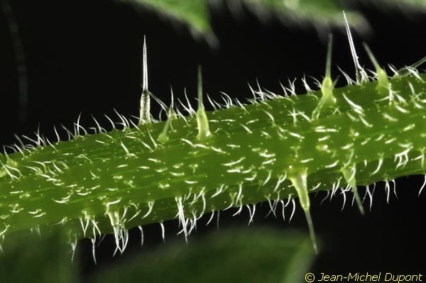 P120615 016
