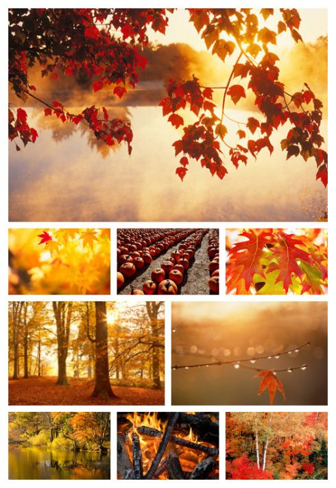 automn-diaporama.jpg