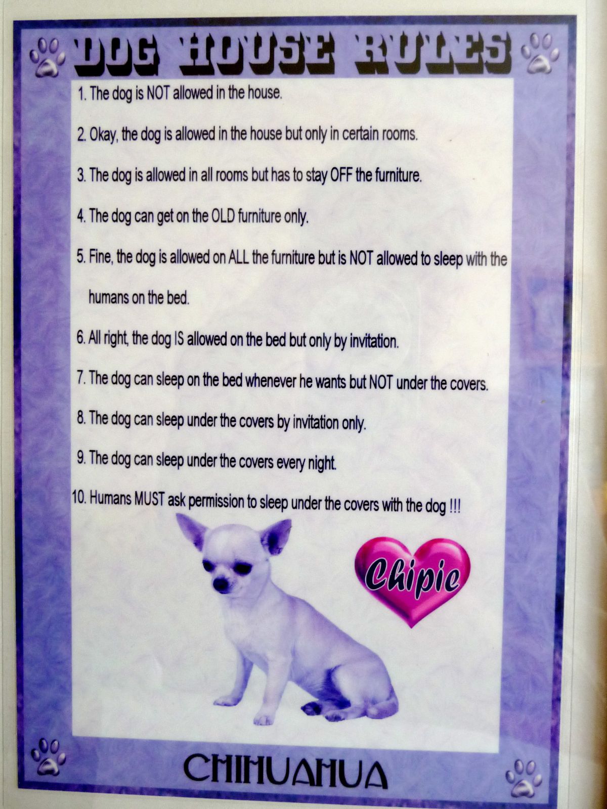 dog house rules-copie-2