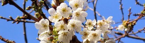140317_G0_Ursuya-par-Mendionde.jpg