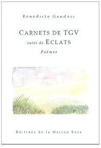Carnets-TGV_couverture.JPG
