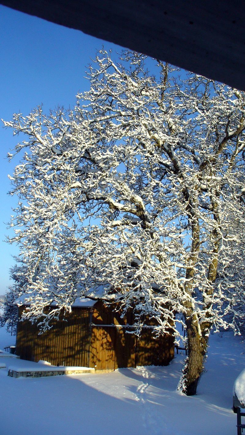 Jeudi 7 Janvier1