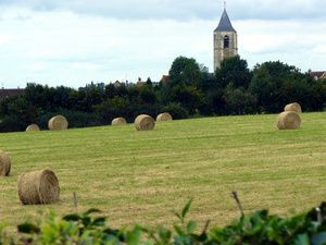 Campagne_le_male