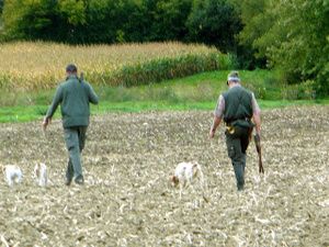 Ouverture_de_la_chasse