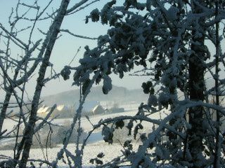 20_fvrier_20054