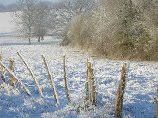 20_fvrier_20056