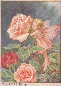 fee-et-roses.jpg