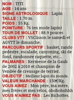 profil (1)