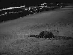 La-Strada--Fellini---dernier-plan.jpg