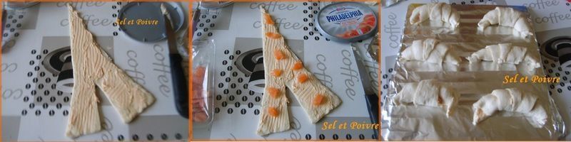 etapes_saumon