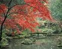 images_1_