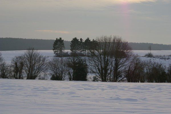 Paysage-hivernal.3.jpg