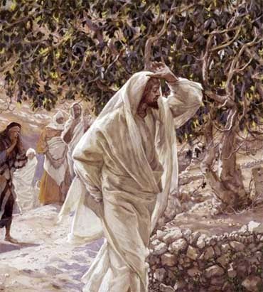 jesus-figuier.jpg