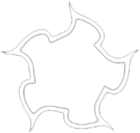 logo-copie-1.png