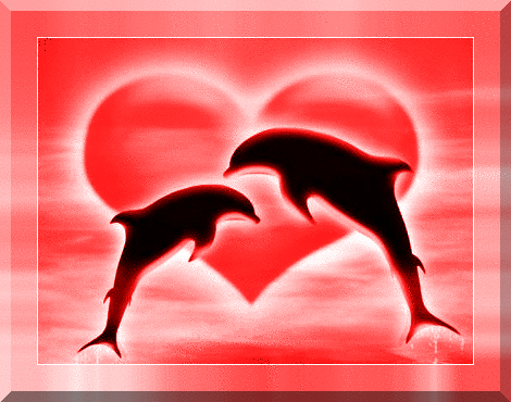 Silhouettes dauphins amour