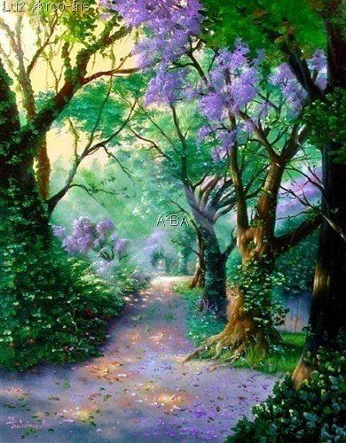 Chemin bordé arbre fleurs lilas A²BA Luz