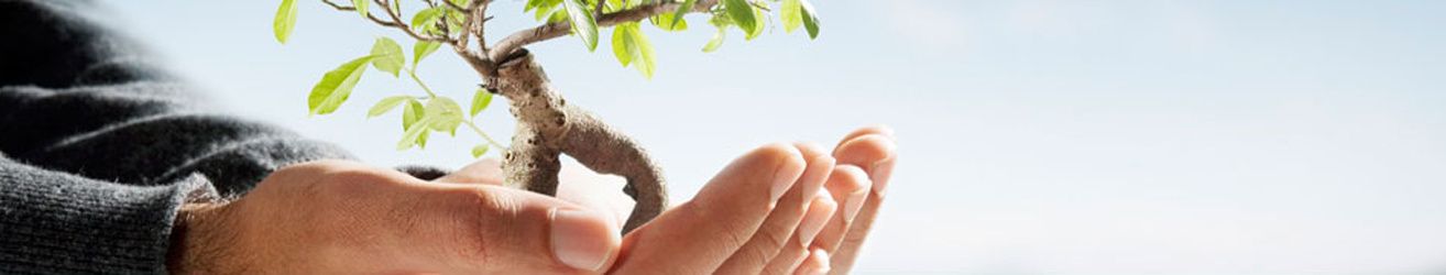 carbon neutral-copie-1