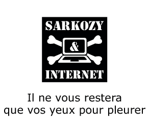 Sarkozy-et-internet2.gif