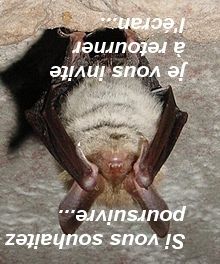 CS-envers.jpg