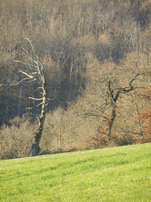Entre deux saisons... Novembre 2012.