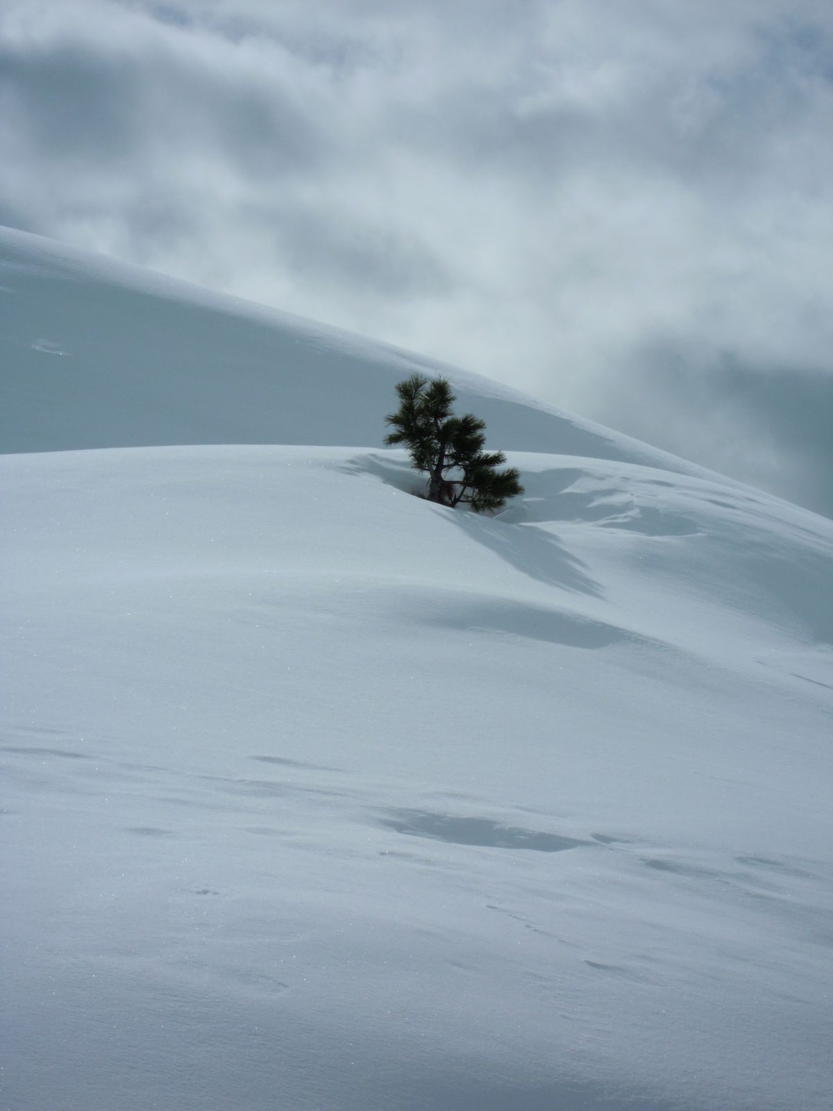 Février 2011 en Suisse, dans le Valais.