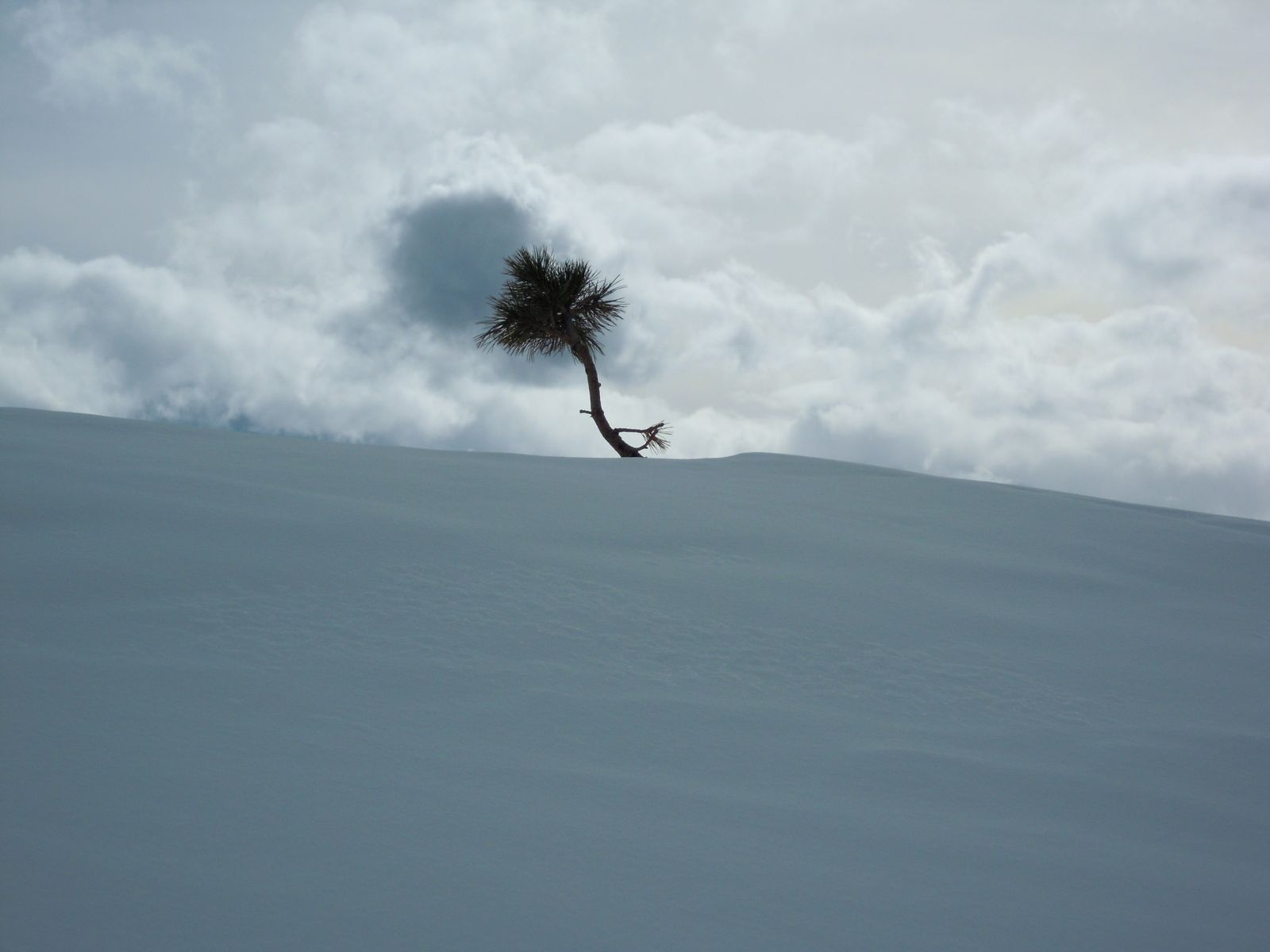 Février 2011 en Suisse, dans le Valais.