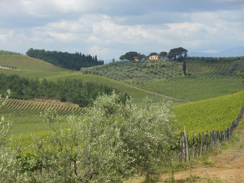 Toscane en Mai 2012.