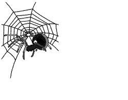 insectes-araignees-00008