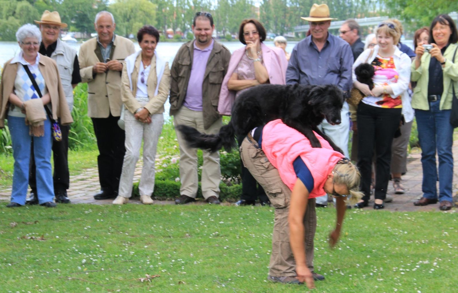 04Aktion02dogdancing2