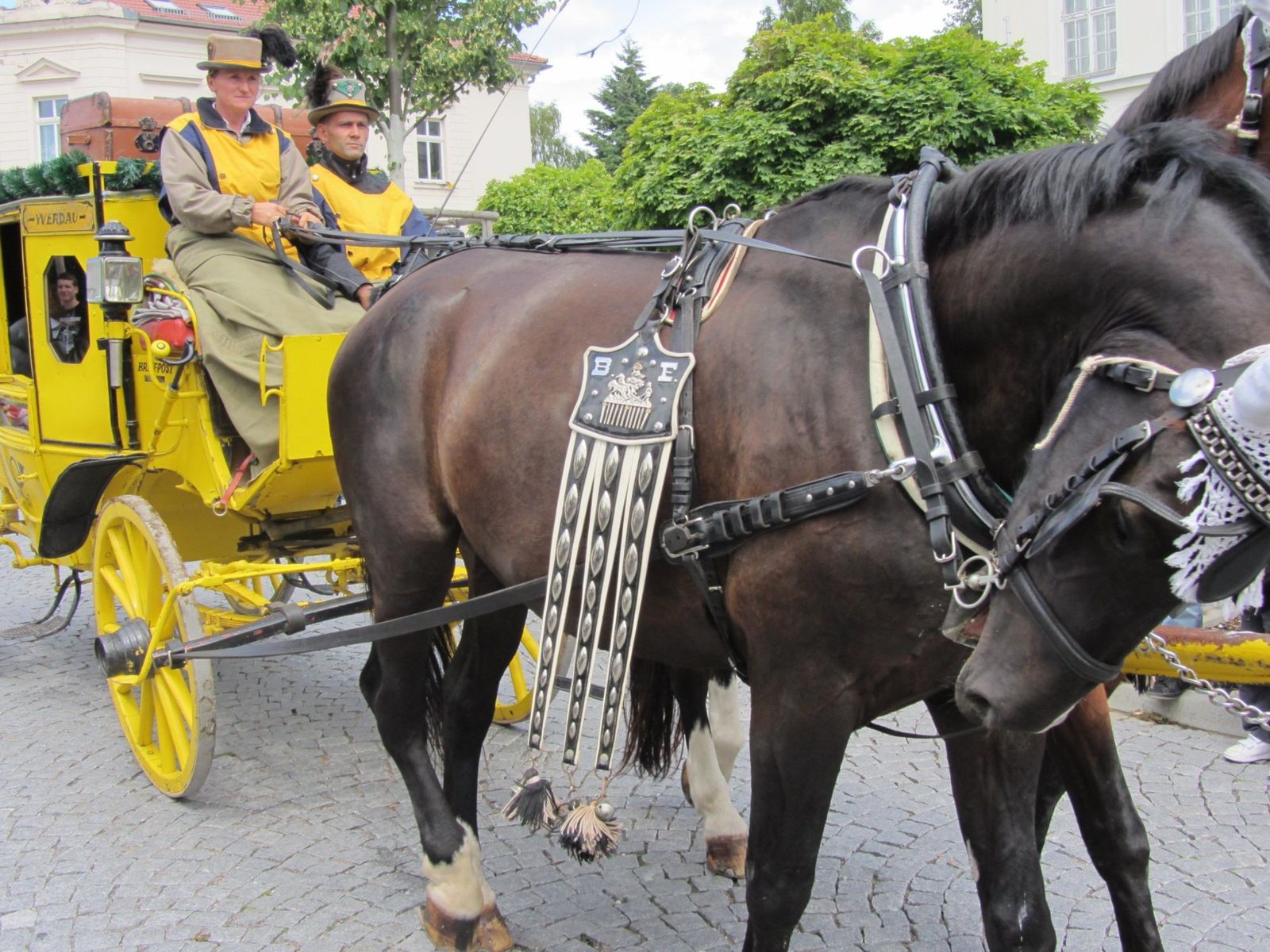 Festzug Geithain14 (2)