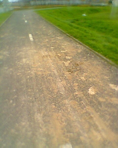 Photo0222.jpg